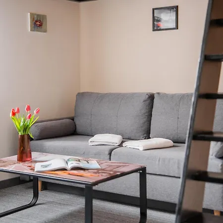 Apartment Loftowy Na Spokojnej *